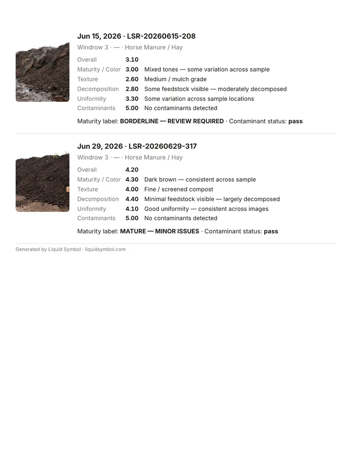 Assessment summary, page 2: photos and scores for the later visits